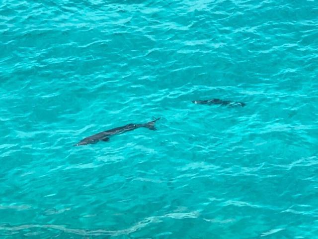 Sommerville Resorts Negril Eksteriør billede